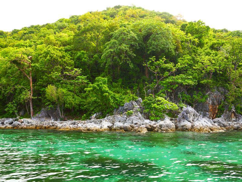 Flower Island Resort Тейтей Экстерьер фото